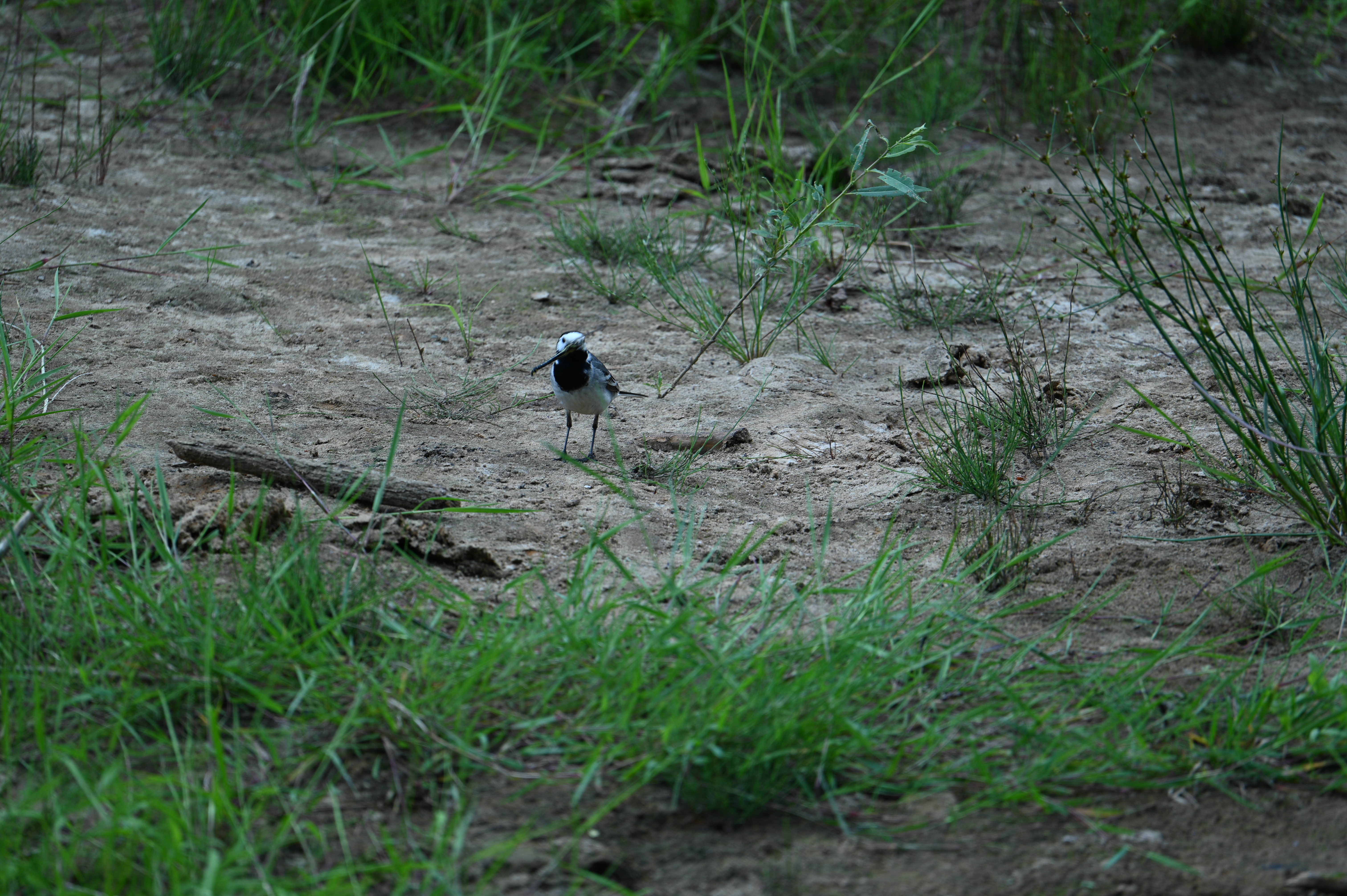 2025/07/09-14 - trip/DSC_0410.JPG